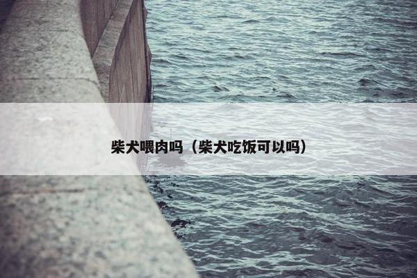 柴犬喂肉吗（柴犬吃饭可以吗）