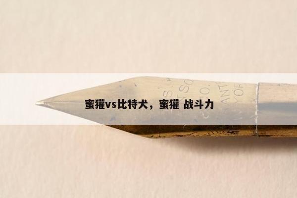 蜜獾vs比特犬，蜜獾 战斗力