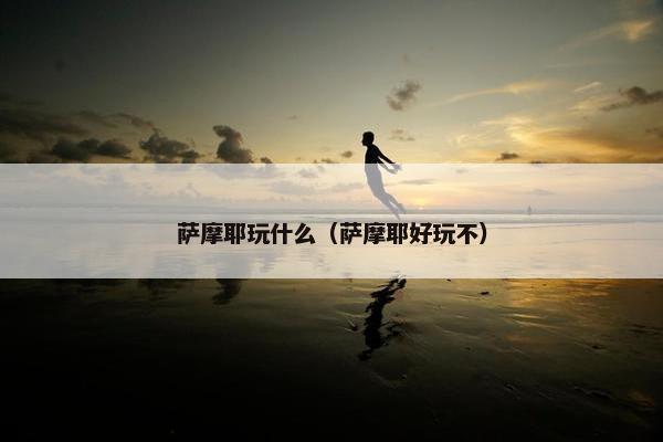 萨摩耶玩什么（萨摩耶好玩不）