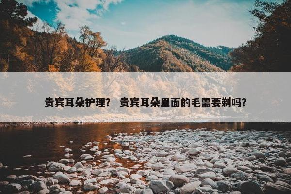 贵宾耳朵护理？ 贵宾耳朵里面的毛需要剃吗？