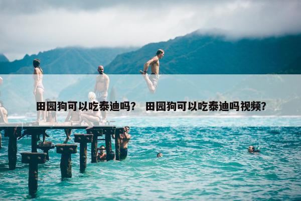 田园狗可以吃泰迪吗? 田园狗可以吃泰迪吗视频?
