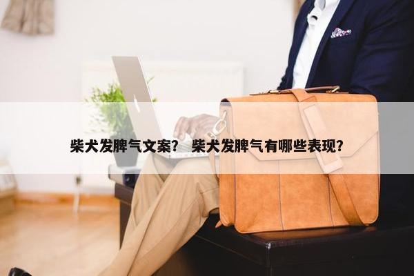 柴犬发脾气文案？ 柴犬发脾气有哪些表现？