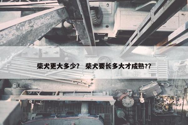 厘米 第14页