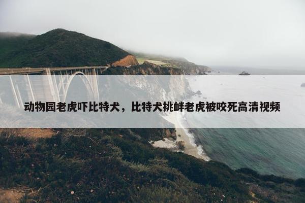 动物园老虎吓比特犬，比特犬挑衅老虎被咬死高清视频