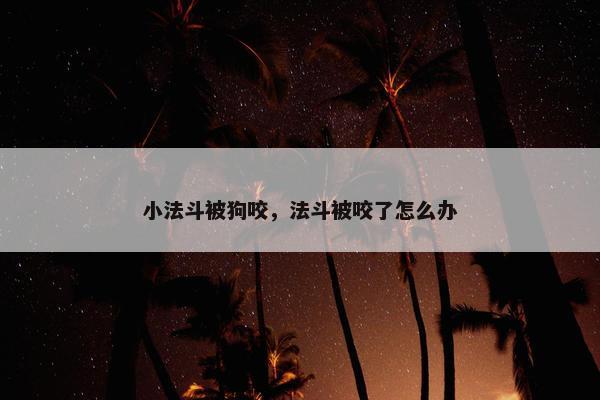 小法斗被狗咬，法斗被咬了怎么办