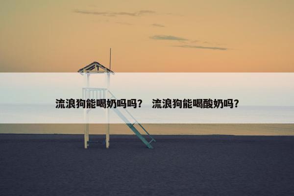 泡饭