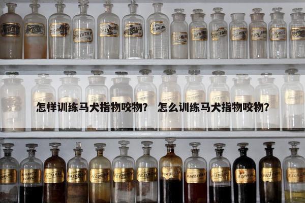 怎样训练马犬指物咬物？ 怎么训练马犬指物咬物？