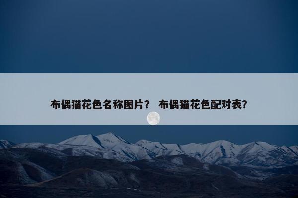 布偶猫花色名称图片? 布偶猫花色配对表?