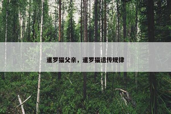 暹罗猫父亲,暹罗猫遗传规律