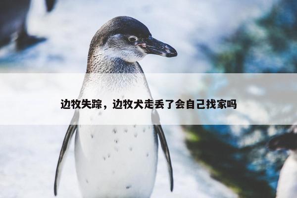 黑衣人