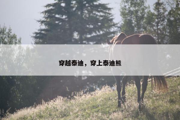 穿越泰迪，穿上泰迪熊
