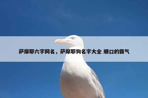 萨摩耶六字网名,萨摩耶狗名字大全 顺口的霸气