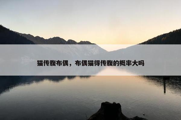 猫传腹布偶，布偶猫得传腹的概率大吗