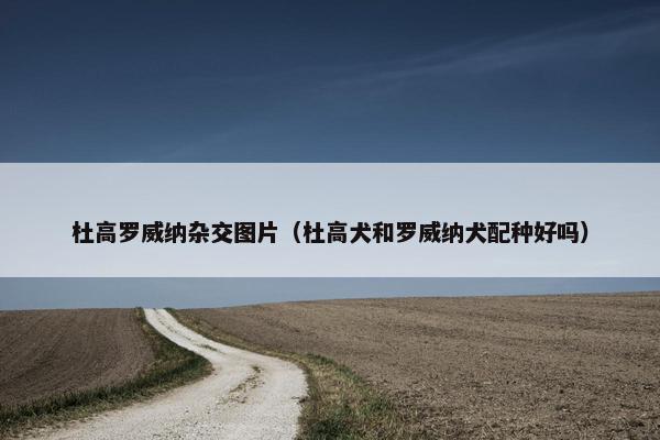 杜高罗威纳杂交图片（杜高犬和罗威纳犬配种好吗）
