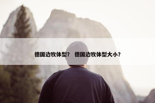 德国边牧体型？ 德国边牧体型大小？