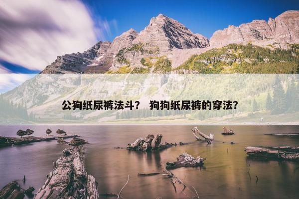 公狗纸尿裤法斗？ 狗狗纸尿裤的穿法？