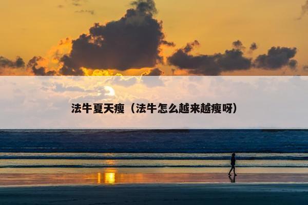 法牛夏天瘦（法牛怎么越来越瘦呀）
