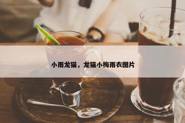 小雨龙猫，龙猫小梅雨衣图片