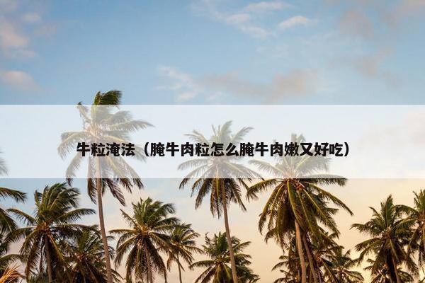 牛粒淹法（腌牛肉粒怎么腌牛肉嫩又好吃）