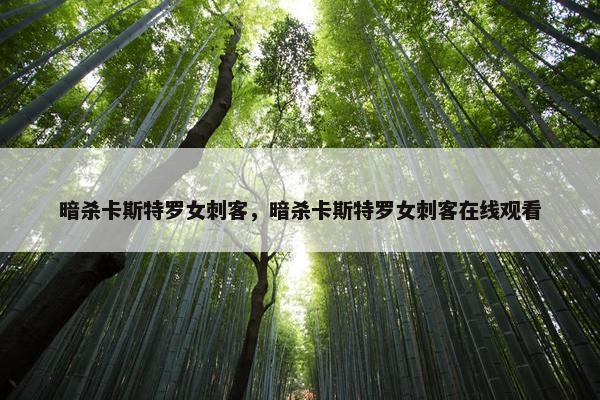 暗杀卡斯特罗女刺客，暗杀卡斯特罗女刺客在线观看