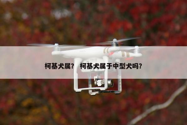 柯基犬属？ 柯基犬属于中型犬吗？