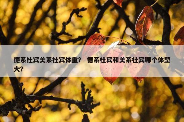 德系杜宾美系杜宾体重? 德系杜宾和美系杜宾哪个体型大?