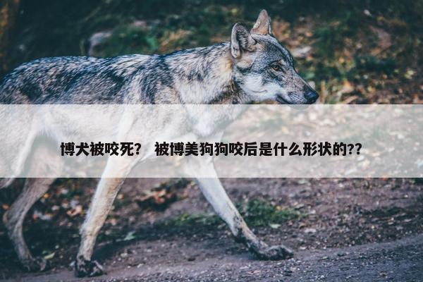 博犬被咬死？ 被博美狗狗咬后是什么形状的?？