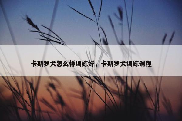卡斯罗犬怎么样训练好，卡斯罗犬训练课程