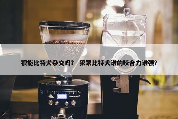 狼能比特犬杂交吗？ 狼跟比特犬谁的咬合力谁强？