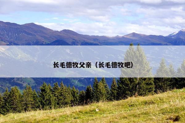 长毛德牧父亲（长毛德牧吧）