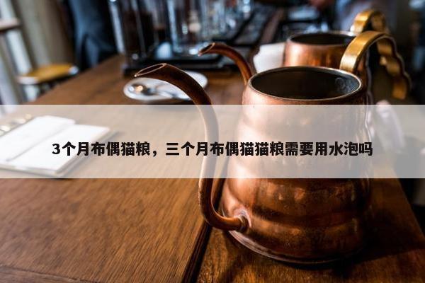 3个月布偶猫粮，三个月布偶猫猫粮需要用水泡吗