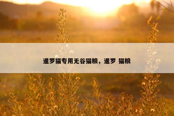 暹罗猫专用无谷猫粮，暹罗 猫粮