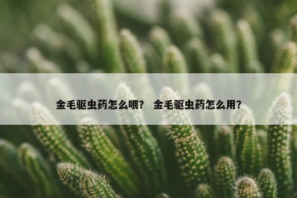 金毛驱虫药怎么喂? 金毛驱虫药怎么用?