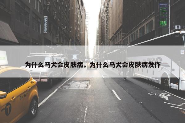 为什么马犬会皮肤病，为什么马犬会皮肤病发作
