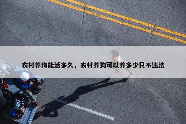 农村养狗能活多久,农村养狗可以养多少只不违法