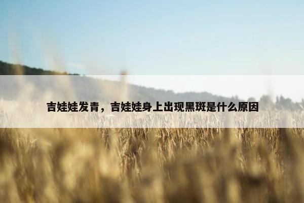 吉娃娃发青，吉娃娃身上出现黑斑是什么原因