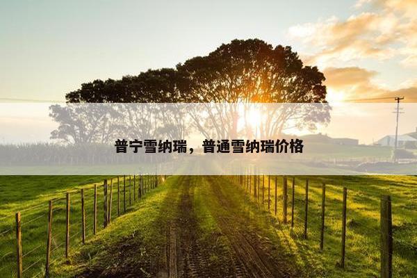 普宁雪纳瑞，普通雪纳瑞价格
