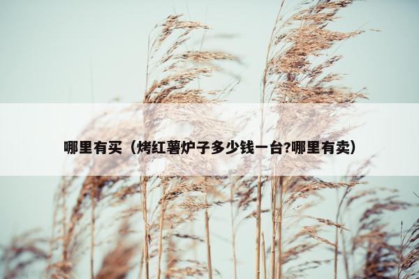 哪里有买（烤红薯炉子多少钱一台?哪里有卖）
