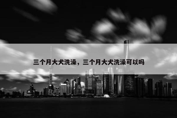 三个月大犬洗澡，三个月大犬洗澡可以吗