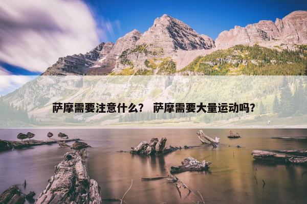 萨摩需要注意什么？ 萨摩需要大量运动吗？