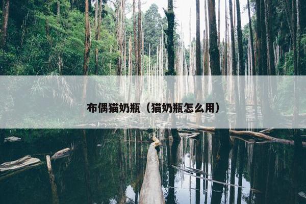 猫粮 第12页