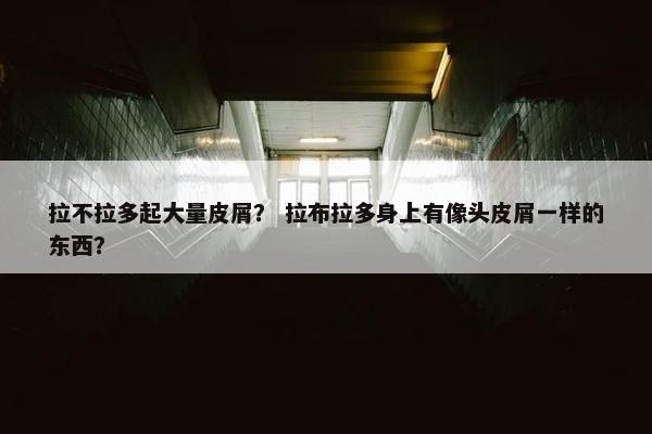 拉不拉多起大量皮屑？ 拉布拉多身上有像头皮屑一样的东西？