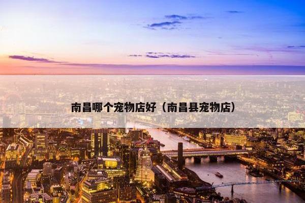 南昌哪个宠物店好（南昌县宠物店）