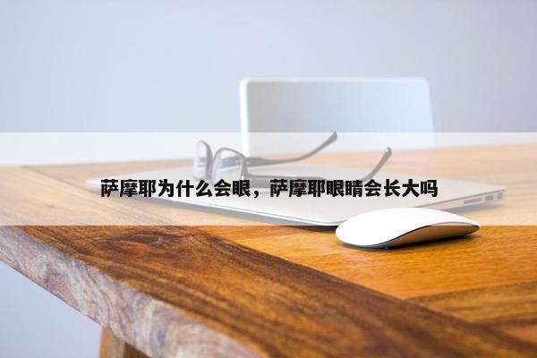 萨摩耶为什么会眼，萨摩耶眼睛会长大吗