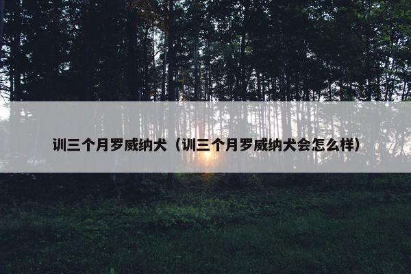 训三个月罗威纳犬（训三个月罗威纳犬会怎么样）