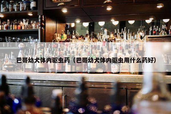巴哥幼犬体内驱虫药（巴哥幼犬体内驱虫用什么药好）