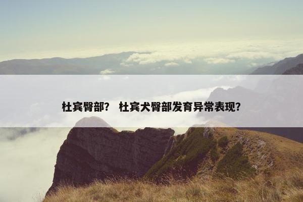 杜宾臀部？ 杜宾犬臀部发育异常表现？