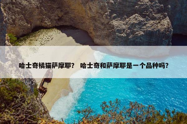 哈士奇橘猫萨摩耶？ 哈士奇和萨摩耶是一个品种吗？