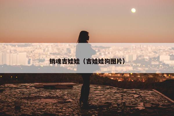 销魂吉娃娃（吉娃娃狗图片）
