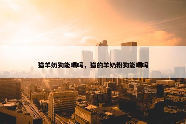 猫羊奶狗能喝吗，猫的羊奶粉狗能喝吗